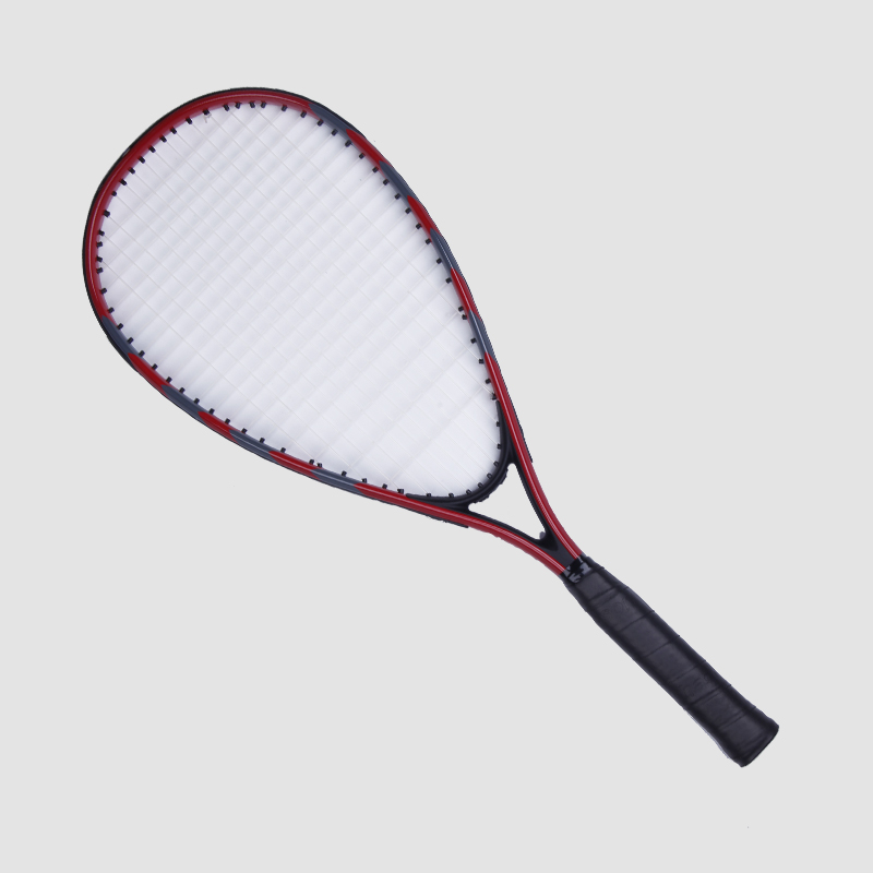 Schneller Badmintonschläger S-100