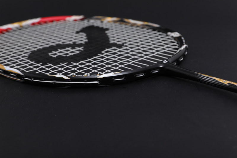 Premium Carbon Badmintonschläger CX-B668 Rot