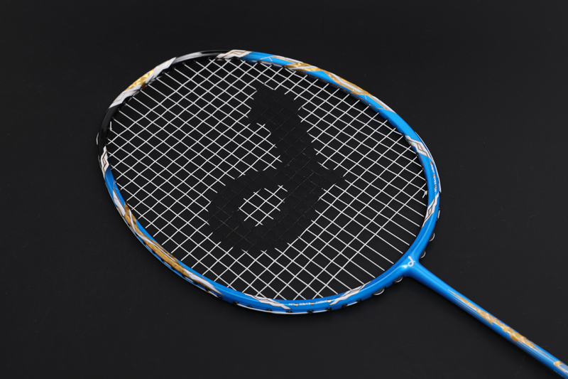 Premium Carbon Badmintonschläger Cx-b668 Blau