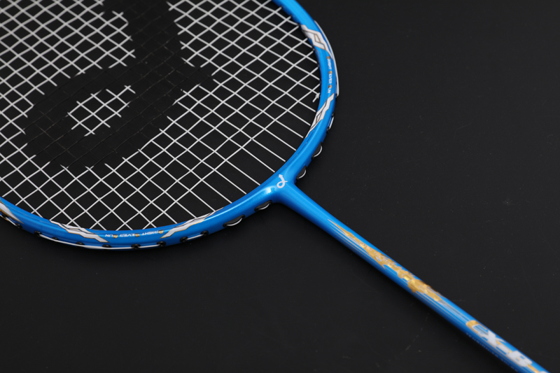 Premium Carbon Badmintonschläger Cx-b668 Blau