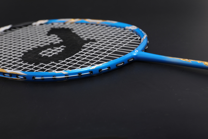 Premium Carbon Badmintonschläger Cx-b668 Blau