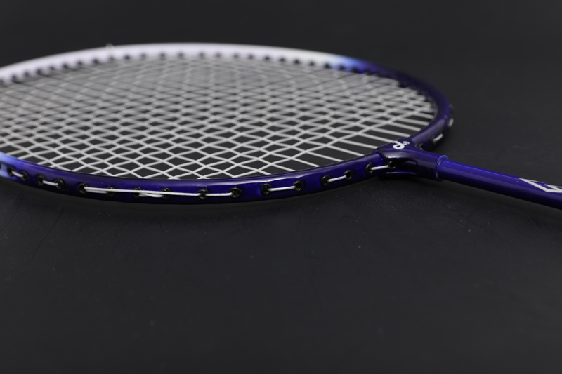 Iron Split Badmintonschläger CX-B101 Blau